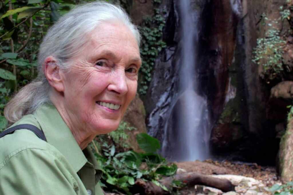 Jane Goodall